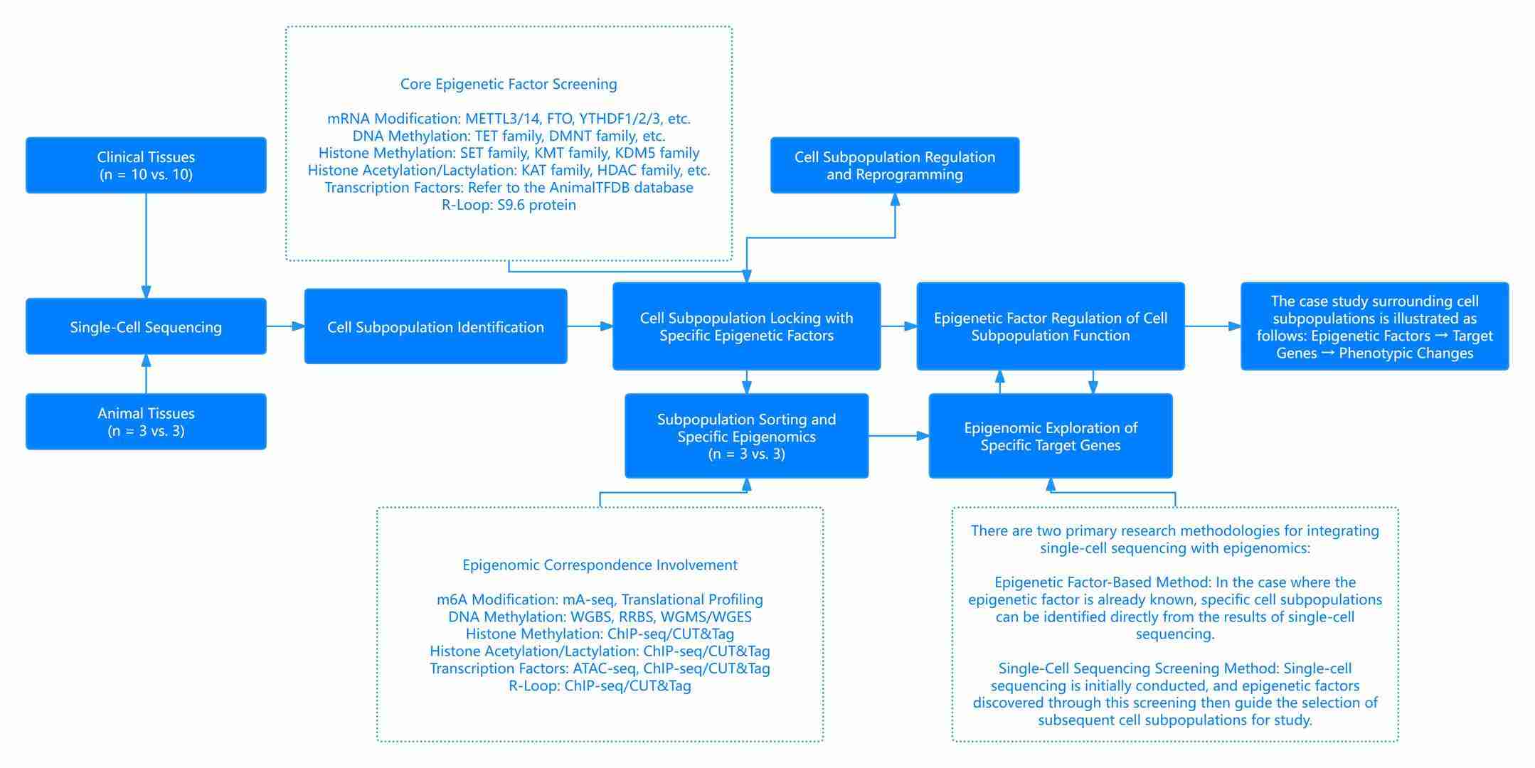 Framework and design of single-cell epigenomic research.