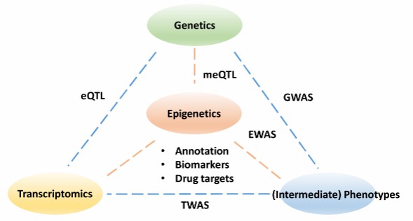 The functional impact of epigenetics (Cazaly et al., 2019)
