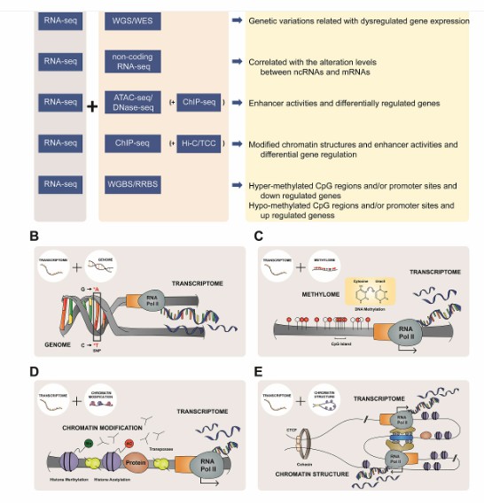 Complex biological meanings by integrative analysis (Oh et al., 2020)