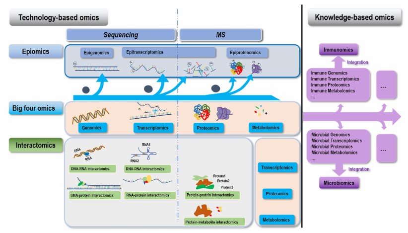 RNA modification combined with MS to analyse bioinformation (Dai et al., 2022)