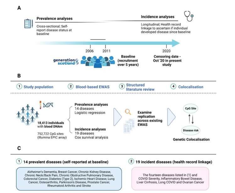 EWAS Reveals Methylation Sites Associated with Multiple Common Diseases