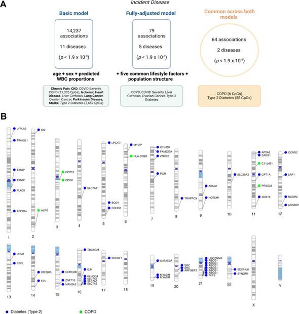 Epigenome-wide association studies on 19 incident disease states in Generation Scotland.