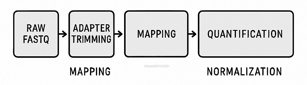 Horizontal flowchart showing six steps in exosomal RNA-Seq analysis: FASTQ input, trimming, mapping, quantification, normalization, and matrix generation.