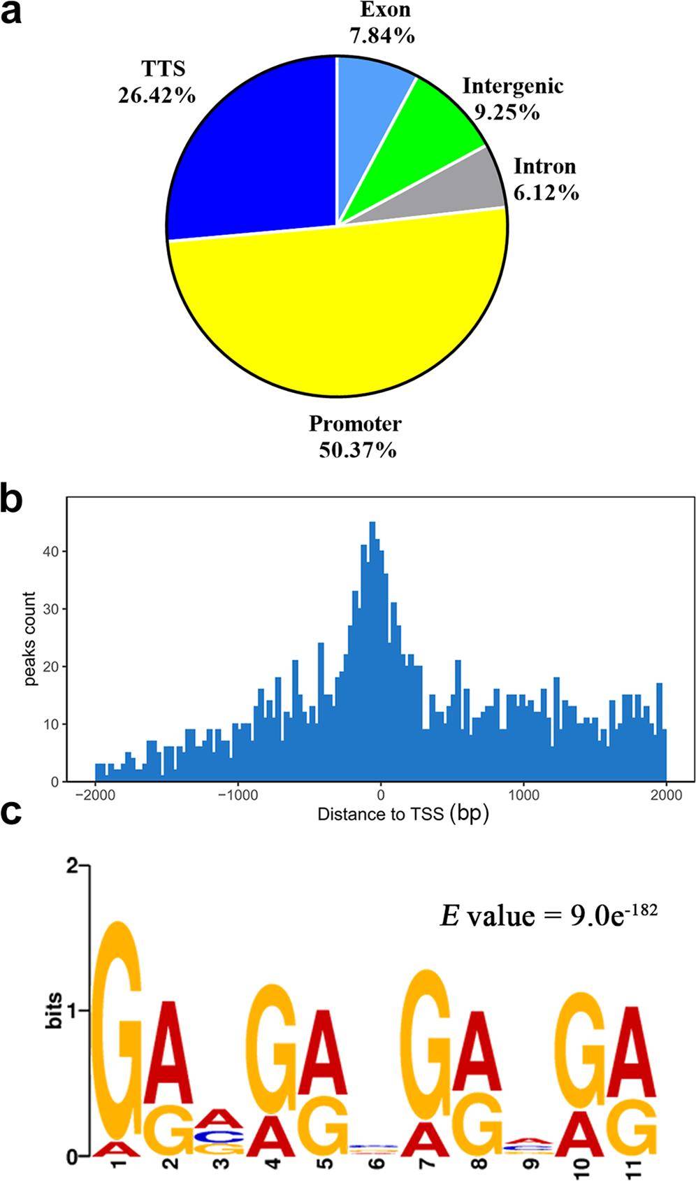 SREBP-mediated transcriptional activation of triterpenoid biosynthesis and lipid homeostasis in Ganoderma lingzhi through genome-wide motif identification (Liu et al., 2023)