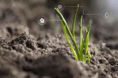 Exploring Nitrogen Cycle Patterns and Mechanisms through Metagenomic Sequencing