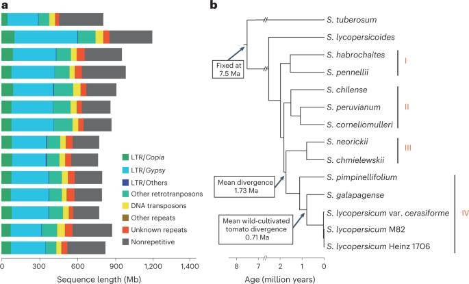 Phylogenetic relationships and genomic components of wild and domesticated tomatoes.