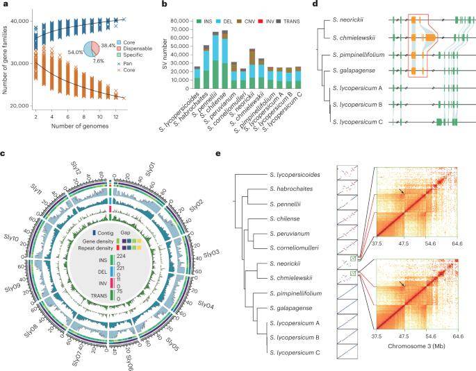 Super-pangenome and the landscape of structural variation among wild and cultivated tomatoes.