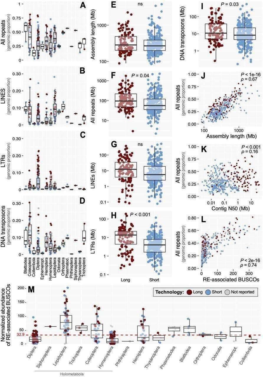 Statistical summaries of insect repetitive element dynamics, technology impacts.