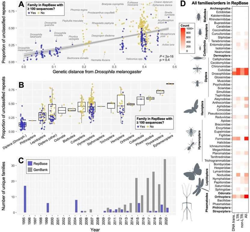 Insect representation in repetitive element databases and effects on RE detection.