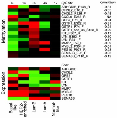 Heatmaps displaying average relative methylation and expression levels stratified by cancer subtype. (Holm, K., Hegardt, C., et al., 2010)