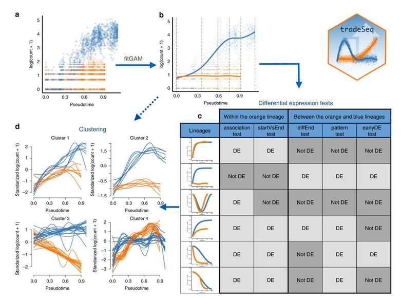 Exploring the Cell Cycle from A Single-Cell Transcriptome Perspective