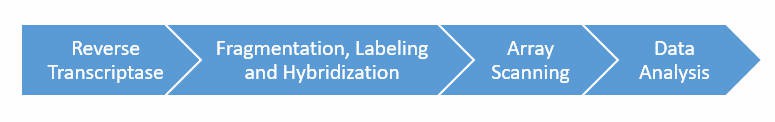 The Workflow of Gene Expression Profiling Microarray Service.