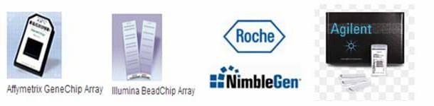 Fig1. Featured Platforms for Microarray Services.