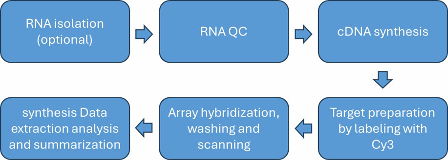 The Workflow of MicroRNA Expression Profiling Microarray.