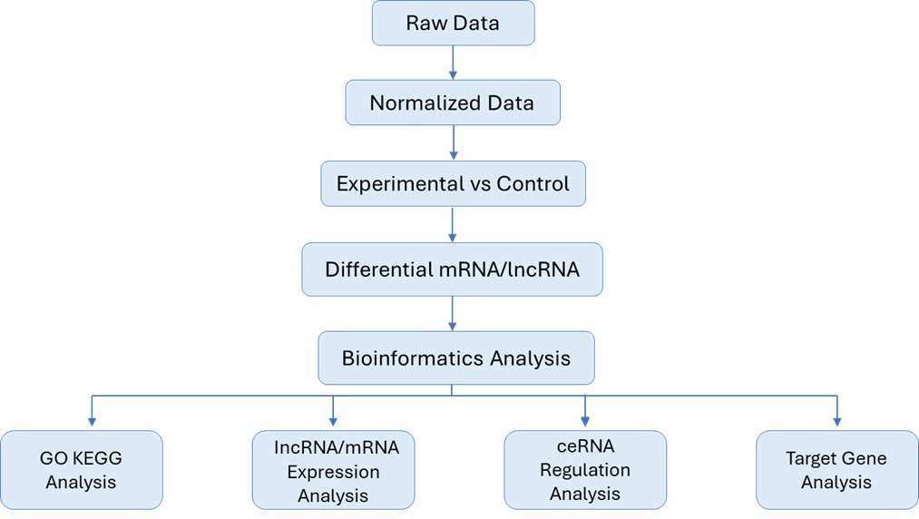The Data Analysis Pipeline of MicroRNA Expression Profiling Microarray.