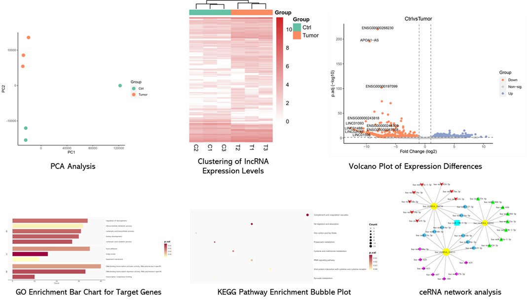 The MicroRNA Expression Profiling Microarray Results Display Figure.