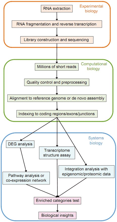 Figure 1. Overview of the typical RNA-seq analysis pipeline