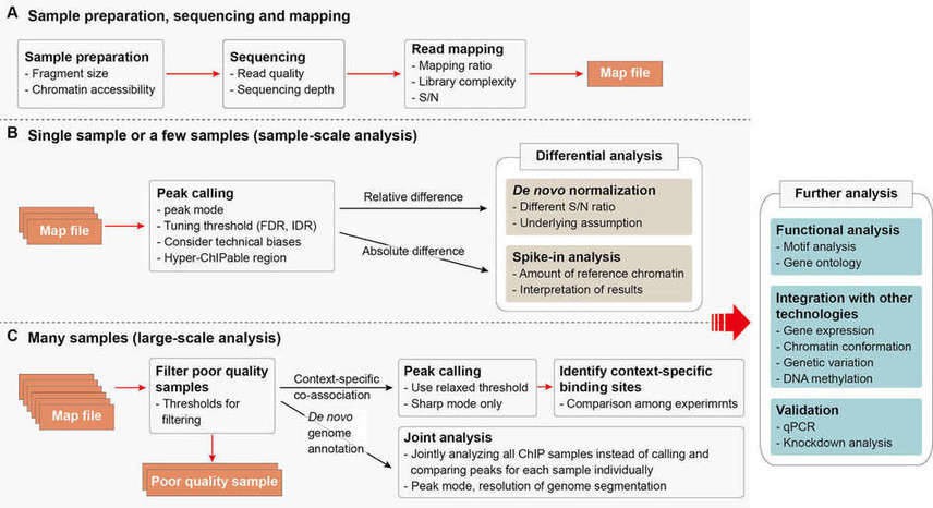 Figure 1. ChIP-seq analysis workflow. Adapted from 