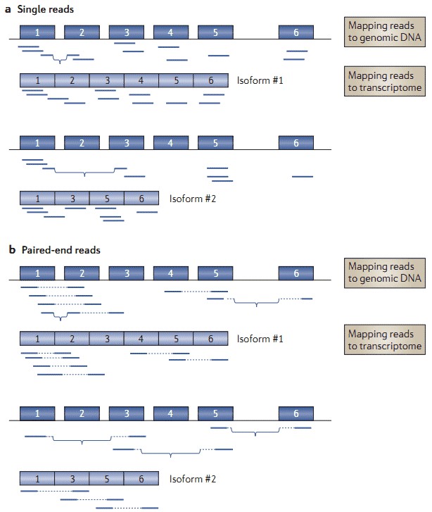 Figure 2. RNA-seq for detection of alternative splicing events