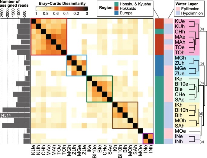 Figure 3. Sample Grouping Based on Bray–Curtis Dissimilarity of Amplicon Sequence Variant Composition, Computed by Averaging Values for the 11 Most Prevalent Lineages. (Okazaki et al., Microdiversity and phylogeographic diversification of bacterioplankton in pelagic freshwater systems revealed through long-read amplicon sequencing. 2021)