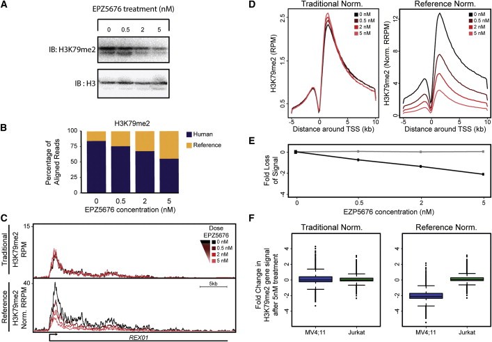 Figure 4. ChIP-Rx Reveals Epigenomic Alterations in Disease Cells that Respond to Drug Treatment.
