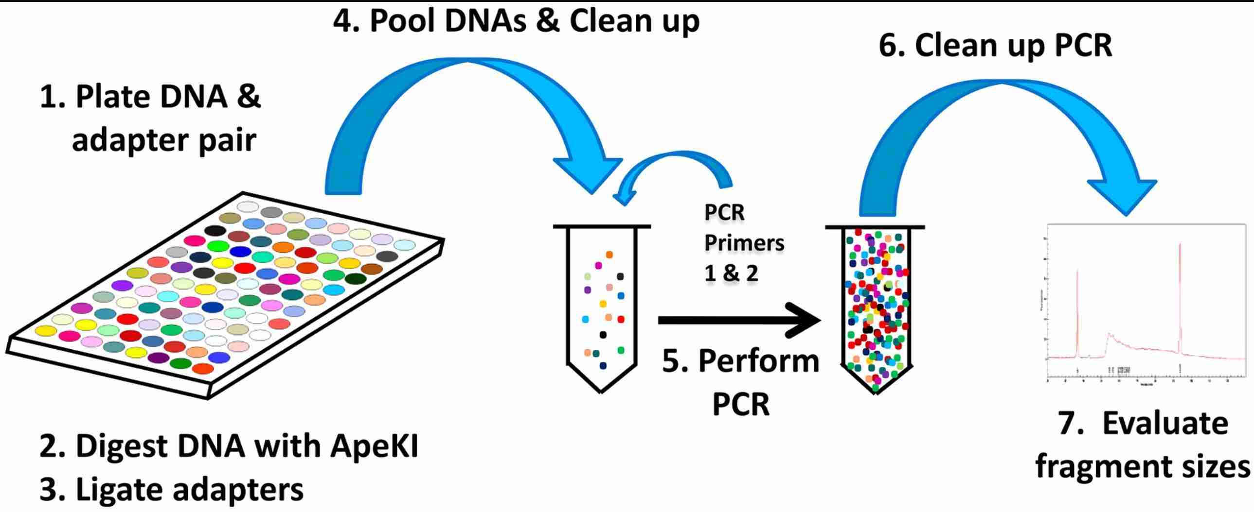 From Data to Discovery: Advanced Applications of Genotyping by Sequencing