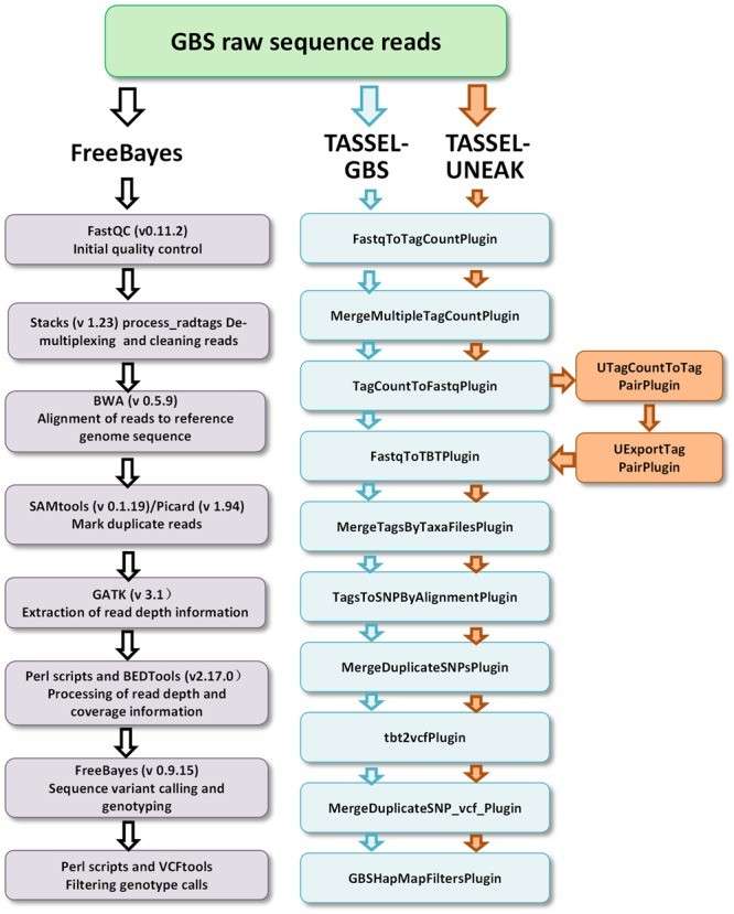 Comparative performance of GBS genotyping pipelines (FreeBayes, TASSEL-GBS, TASSEL-UNEAK) in variant calling applications (Yu et al., 2017)