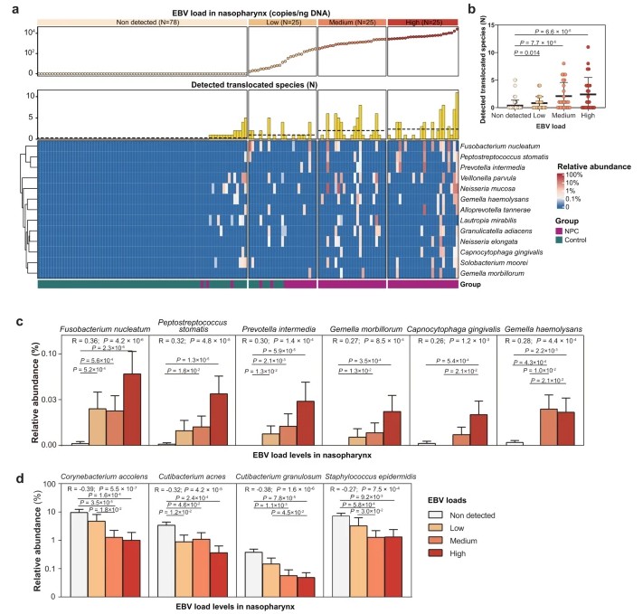 Full-Length 16S rRNA Sequencing: A Novel Microbial Diversity Tool for Clinical Studies