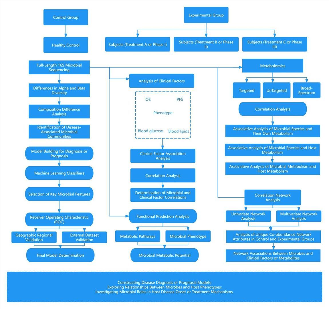 Full-Length 16S rRNA Sequencing: A Novel Strategy for Gut Microbial Diversity Analysis