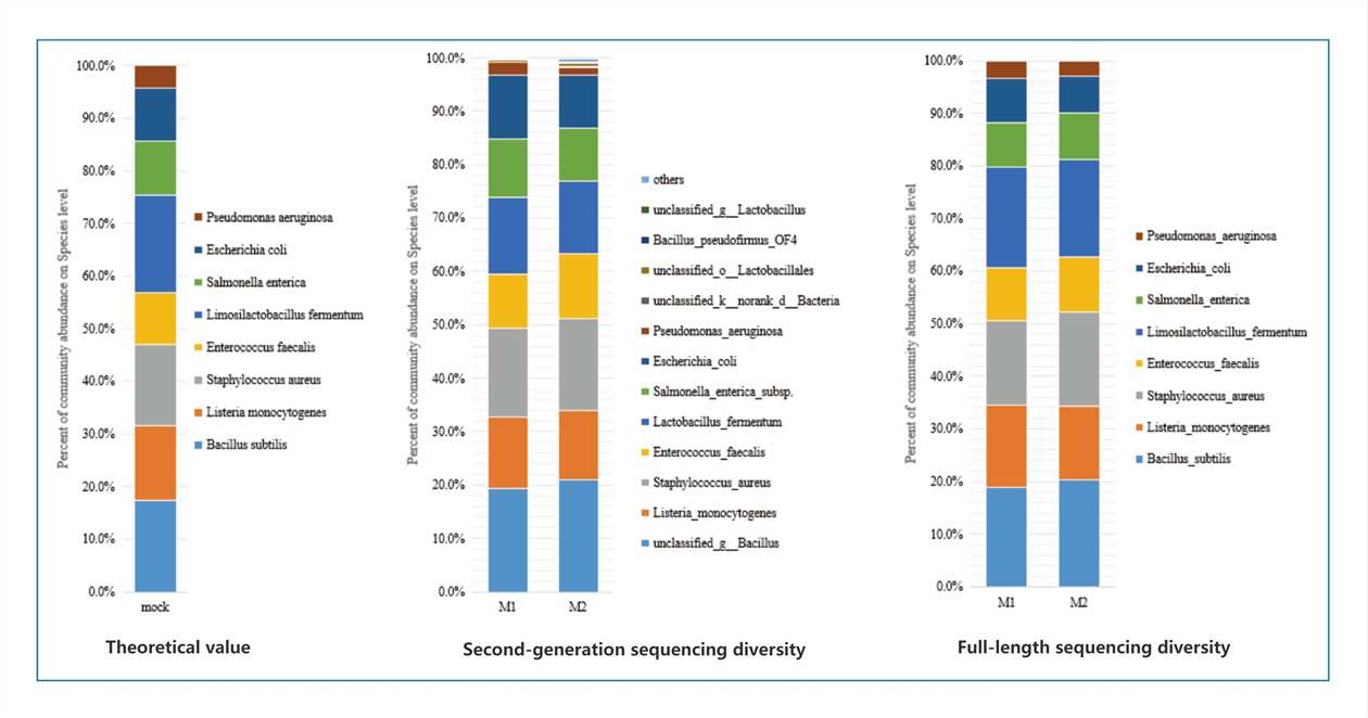 Full-Length 16S rRNA Sequencing Enhances Species-Level Microbial Analysis