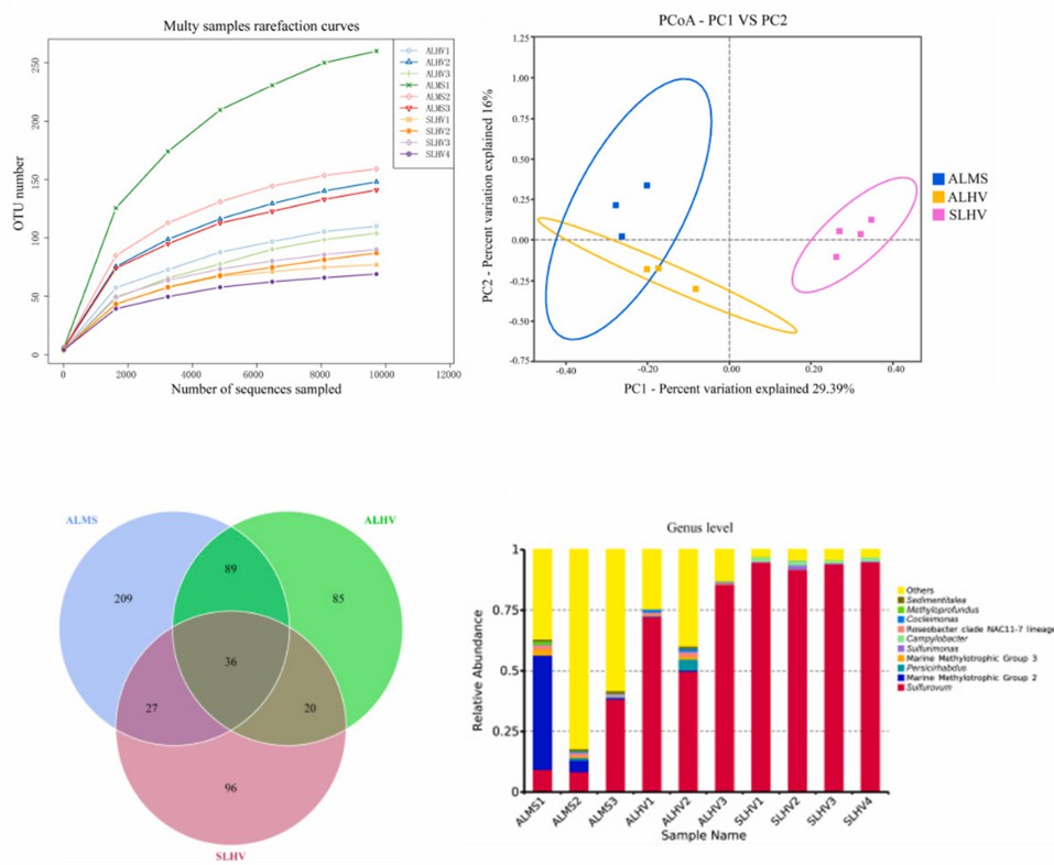 Using the results of 16S rRNA amplicon sequencing for display.