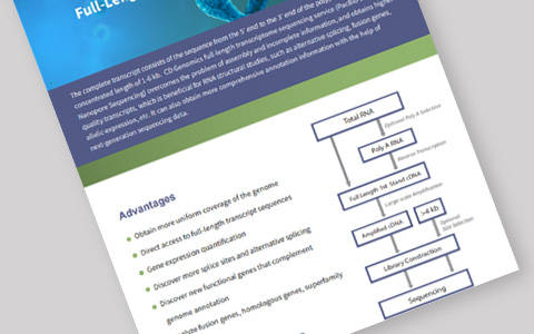 Full-Length Transcriptome Sequencing