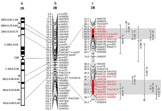 (a) Physical and (b, c) genetic linkage maps. (Chao, 2015)