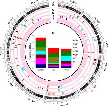 QTL mapping in multiple environments. (Fang et al., 2020)