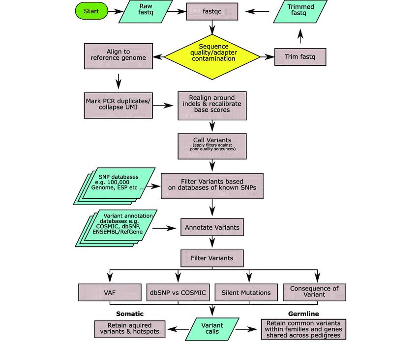 Figure 1. Overview of a generalized workflow for calling variants (Bewicke-Copley, 2019).