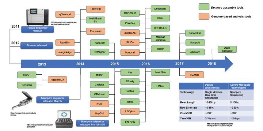 Genome Assembly in Bioinformatics: Definition, Methods and Case