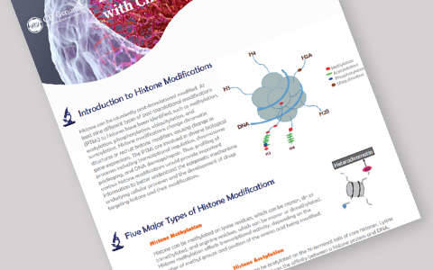 Genome-Wide Profiling of Histone Modifications with ChIP-Seq