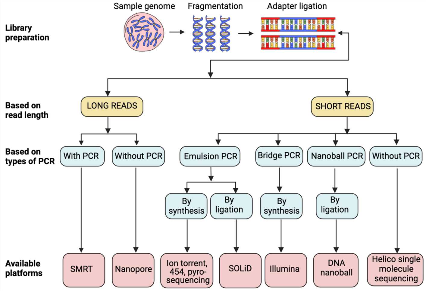 Overview of various NGS technologies