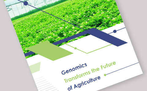 Genomics Transforms the Future of Agriculture