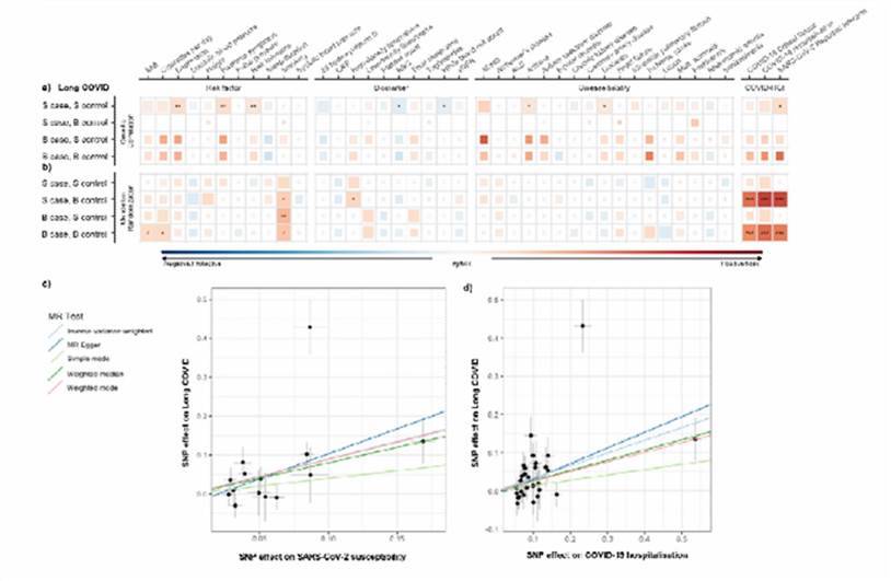 Long COVID appears to be a heterogeneous disease, influenced by both individual genetic variations and environmental risk factors contributing to disease susceptibility.