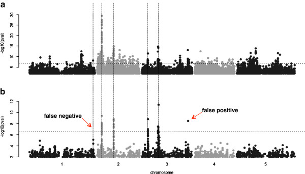 Considering genetic background enhances the performance of GWAS (Korte et al., 2013)
