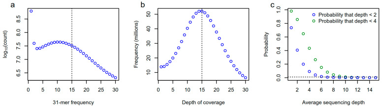 The implications of sample sequencing depth for k-mer-based genome-wide association studies (Karikari et al., 2023)