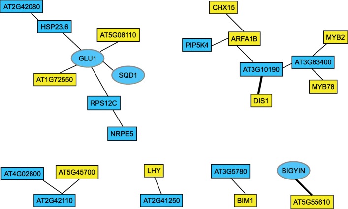 Identifying potential gene interactions through GWAS and GWES (Assefa et al., 2020)