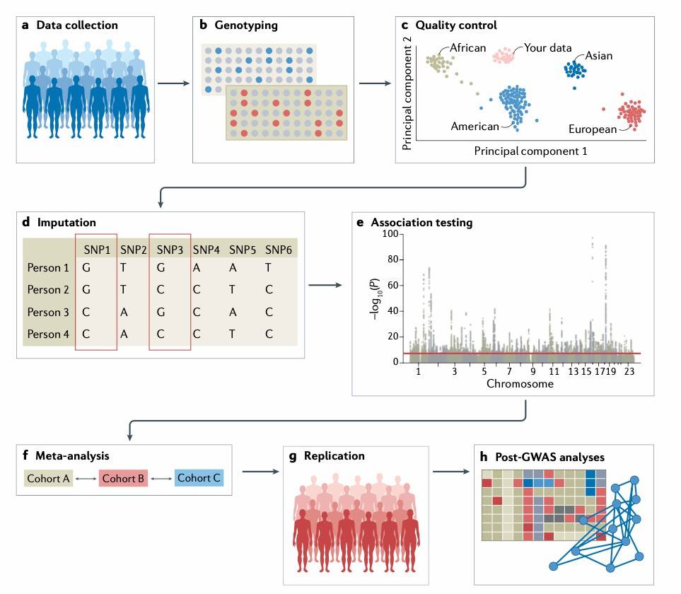 GWAS vs. Whole Genome Sequencing