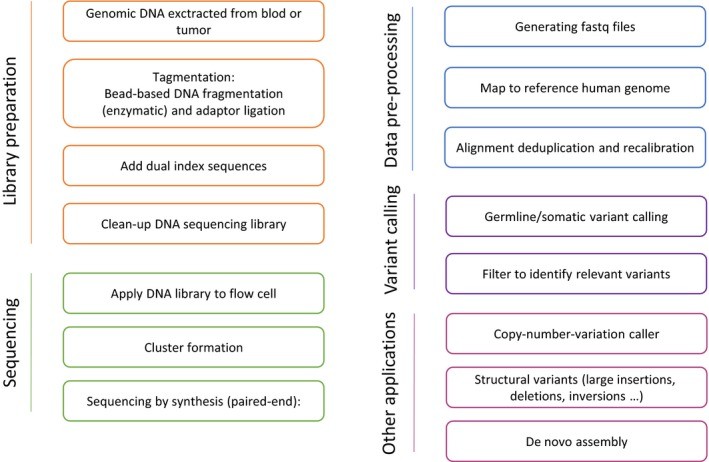 Whole-genome-sequencing workflow and bioinformatic pipeline.