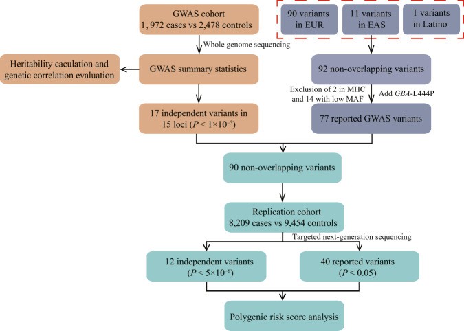 Workflow of unite GWAS and WGS.