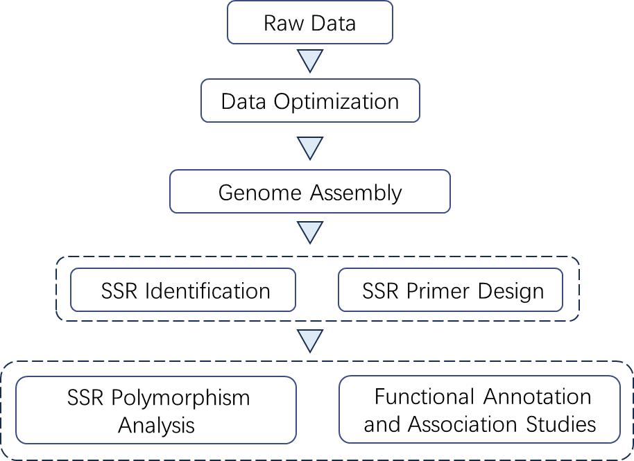 The Data Analysis Pipeline of Hi-SSRseq.
