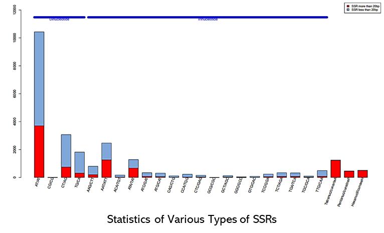 The Hi-SSRseq Results Display Figure.
