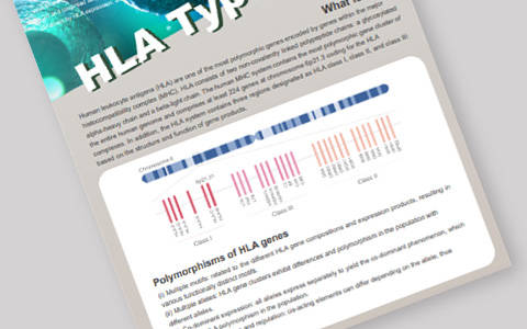 HLA Typing