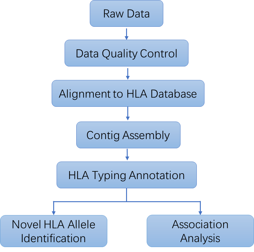 The Data Analysis Pipeline of HLA typing. 